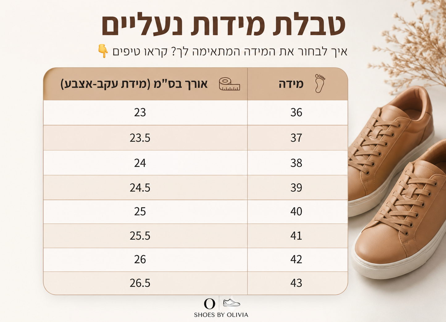 אוליביה קומפורט- קייטי